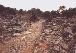 Calzada